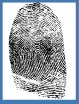 fingerprint