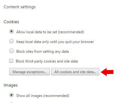 Delete Cookies Chrome