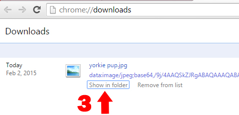 Chrome download pic 2